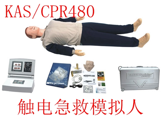 心肺復蘇模型