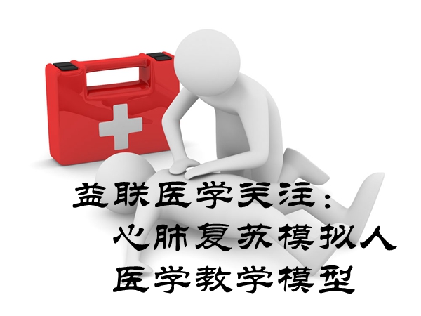 心肺復蘇模擬人
