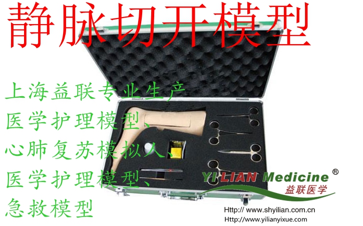 靜脈切開(kāi)模型