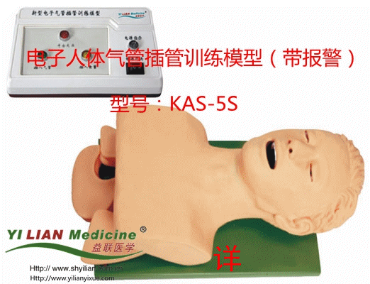 電子人體氣管插管訓練模型